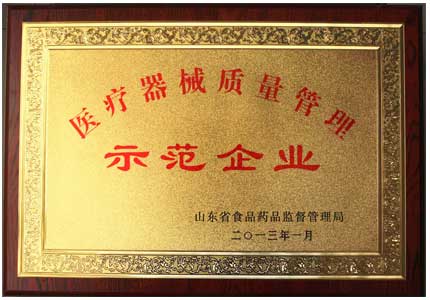 山东国康医疗器械质量管理示范企业荣誉证书