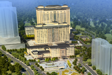 巫溪县人民医院采购全自动微量元素检测仪一台