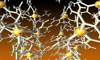 微量元素与神经系统的关系