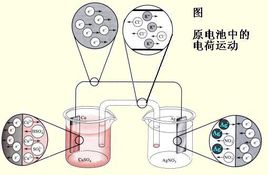 微量元素检测仪厂家