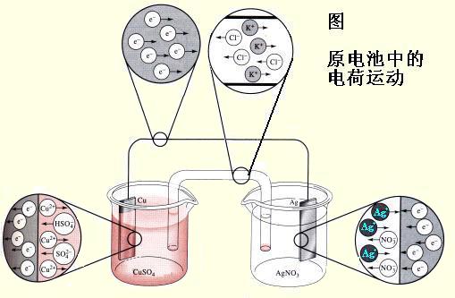 电化学微量元素分析仪