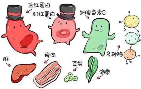 微量元素检测仪厂家分析元素之间的协同作用