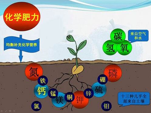 医用微量元素检测仪对作物缺素病的识别