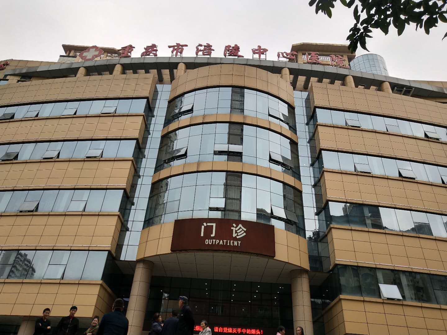涪陵中心医院logo图片