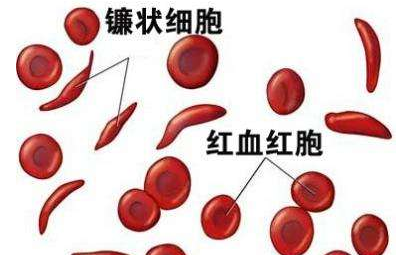人体微量元素分析仪厂家介绍检测微量元素的仪器 人体微量元素分析仪厂家介绍检测微量元素的仪器