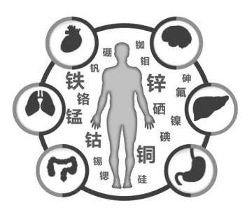 医用微量元素分析仪厂家谈微量元素的重要性