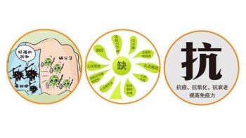 微量元素检测仪厂家分析哪些微量元素能防癌 微量元素检测仪厂家分析哪些微量元素能防癌