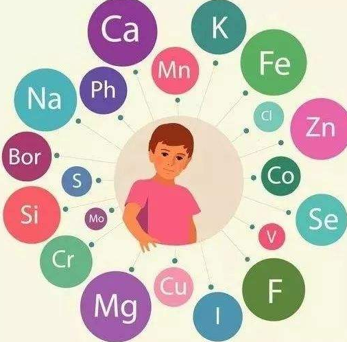 微量元素检测仪厂家提醒补充微量元素的注意事项