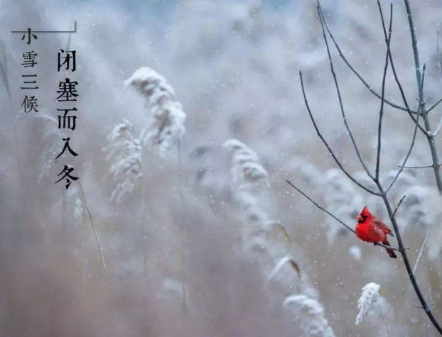 全自动微量分析仪厂家山东国康提示您天冷了,照顾好自己!奥利给