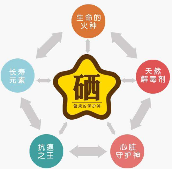 全自动微量元素分析仪厂家分析硒为何被称为生命的火种?