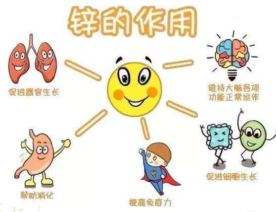 【全自动微量元素分析仪】厂家国康分析哪些儿童容易发生体内锌缺乏?
