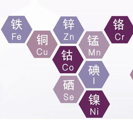 测儿童微量元素仪器