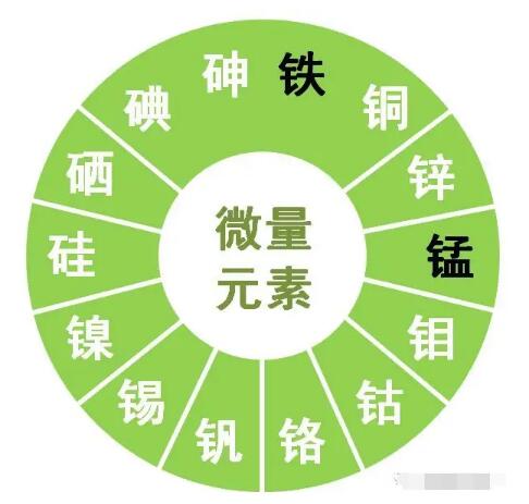 微量元素分析仪提示锌、硒、锰、钒等微量元素对男性生育有哪些作用？