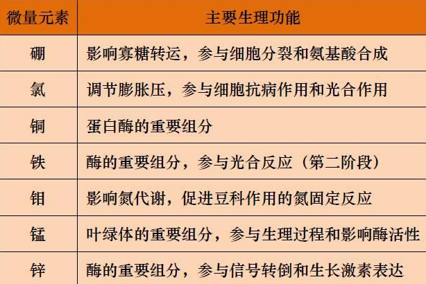 山东聊城全自动血铅检测仪一体机：微量元素的主要作用8.20